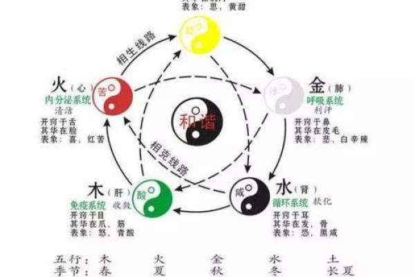 炙火五行探秘：从五行角度解读炙热之力