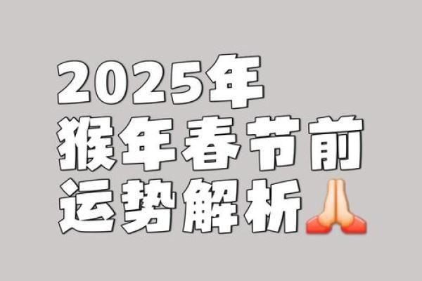 属猴运势分析与整体运程预测