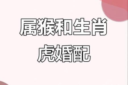 属猴男与属马女的配对分析 是否天作之合