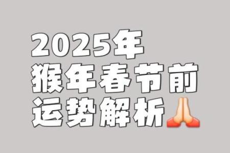 属猴运势分析与整体运程预测
