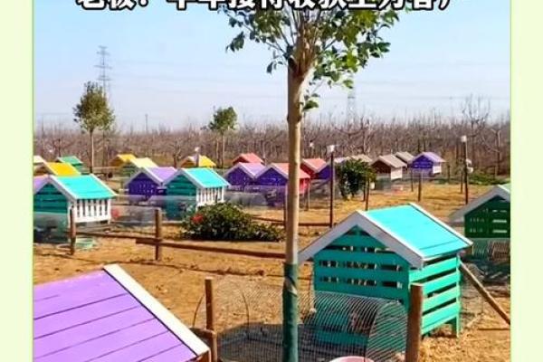 创意无限的养鸡公司名称设计技巧