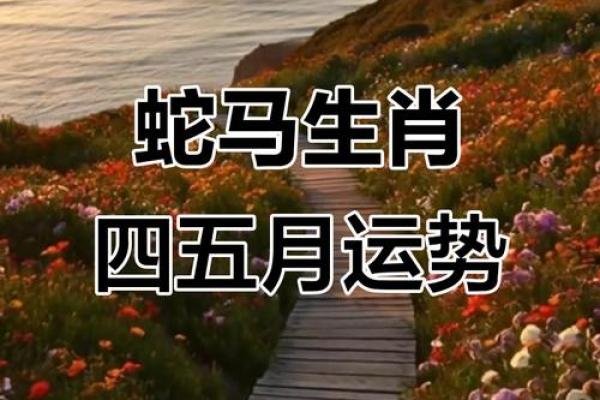 蛇与马相配：如何促进彼此的运势与成长