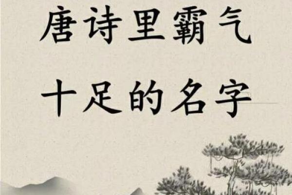 霸气十足的四字名字，让你脱颖而出