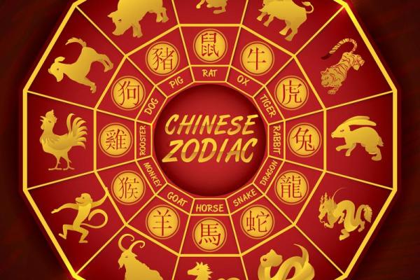十二生肖在的财运、事业和感情运势解读