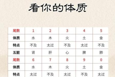 从陈昊轩五行看个人运势变化，找到你的最佳发展方向