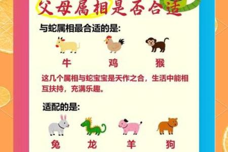 蛇与马相配：如何促进彼此的运势与成长