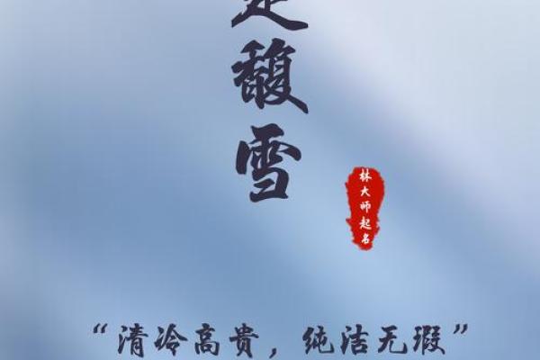 楚姓男孩名字大全，挑选一个有意义的名字