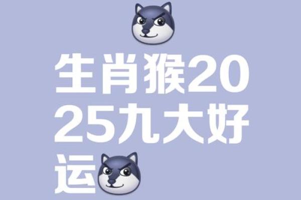 生肖猴今日运势分析：财富与健康有所波动，保持警惕