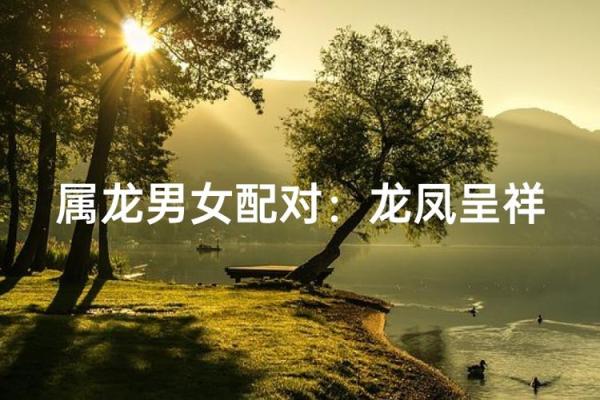 属龙男和属牛女是否天生一对