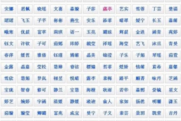 男宝宝取名大全:独特且寓意深远的名字选集 男宝宝取名大全:独特且寓意深远的名字选集