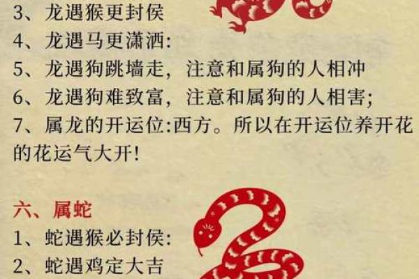 出生的生肖是什么 详解属相特征与命运解析