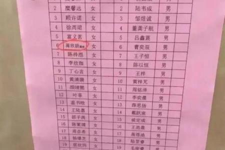 超长名字的拼写与发音困扰