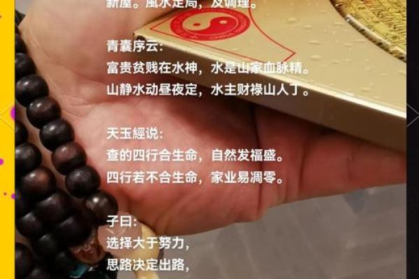 从小甜甜的风水角度看，如何改善家庭财运