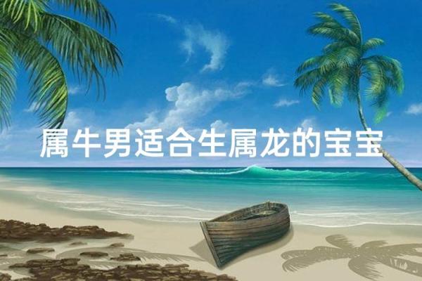 属牛与属龙的性格碰撞：他们真能和谐相配吗