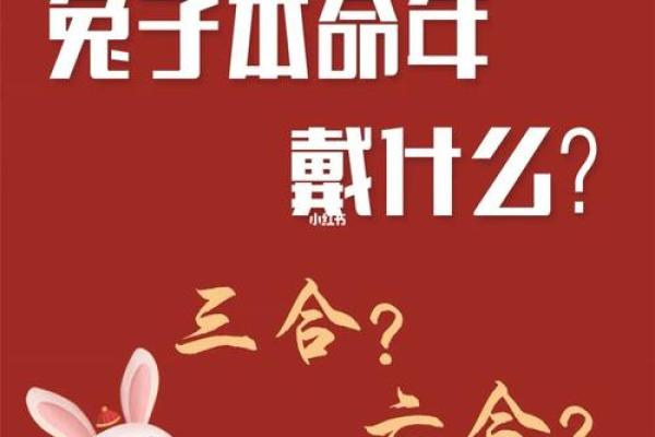 本命年羊女如何破解职场中的困境