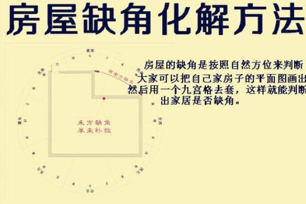 办公室风水布局失衡的常见问题与解决方案