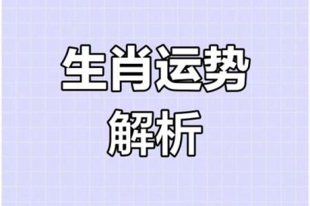 明天生肖运势透析：哪个生肖最幸运？