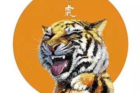 探索虎猪配对的性格与运势
