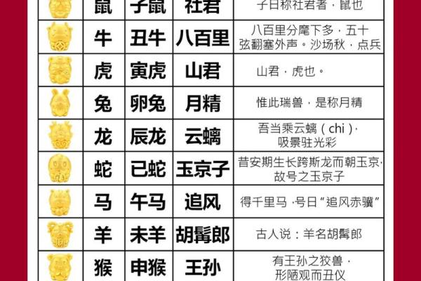 属猪和属马的婚姻幸福指数