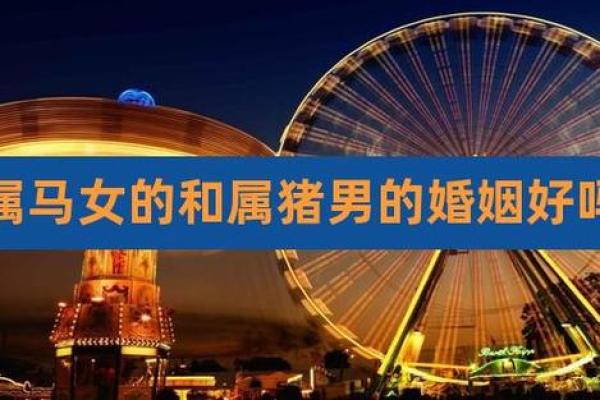 属猪和属马的婚姻幸福指数