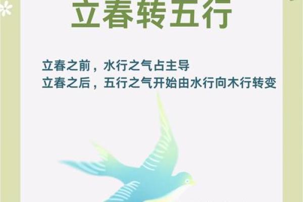 春季五行属性解析：如何利用五行提升你的运势