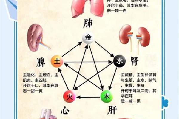 成太极命造与八字命理的深度关系