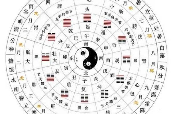 为什么农历被称为阴历？阳历又是什么？