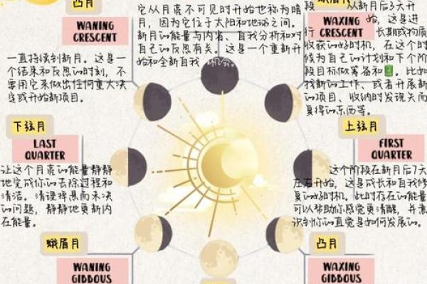 年运势逐月详解：从一月到十二月的运程趋势