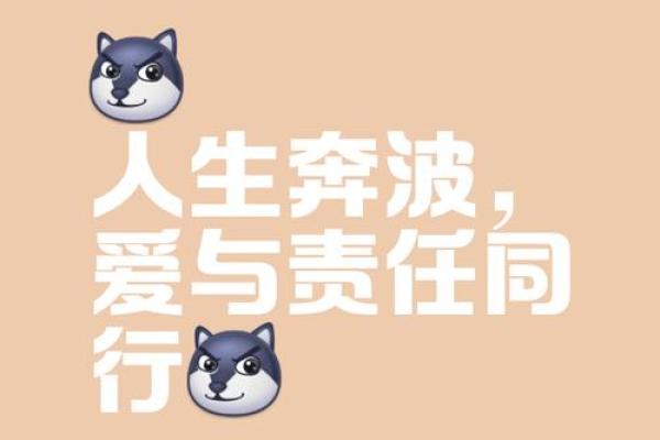 奔波劳碌命：现代人无法逃脱的生活模式