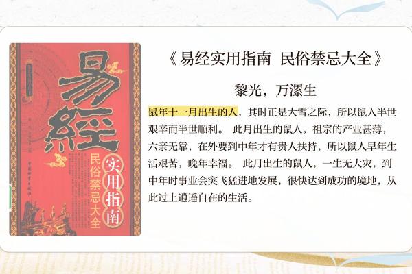 出生的鼠年命运解析与运势展望