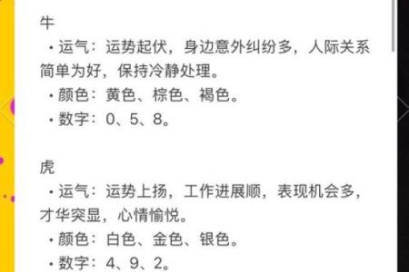 年运势逐月详解：从一月到十二月的运程趋势