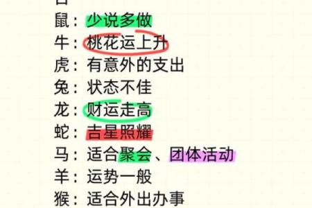 出生的鼠年命运解析与运势展望