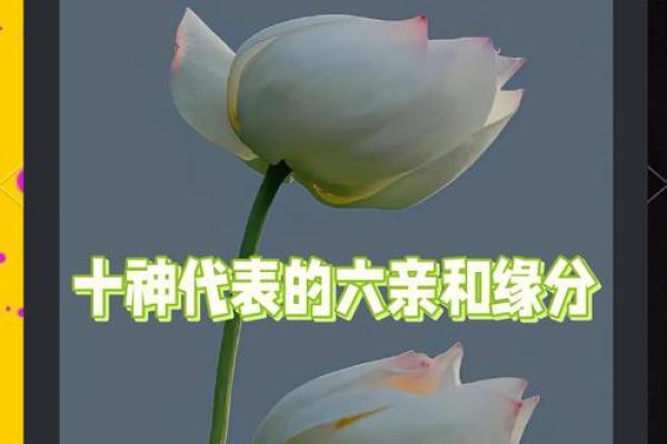 命理八字揭示你命运的秘密，看看你的八字如何影响人生！
