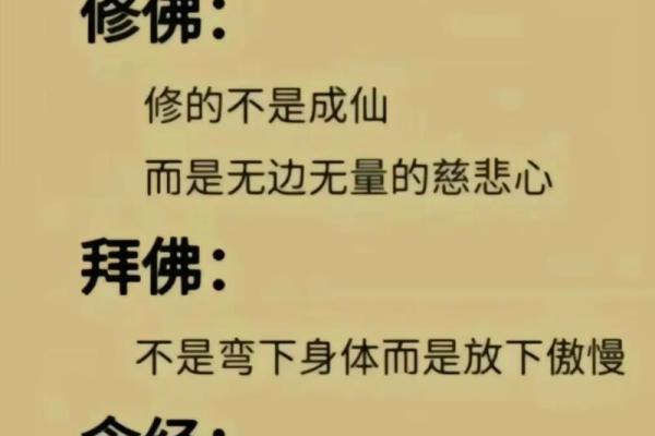 慈悲慈富悲贵富之贵命之：命：揭如何示慈悲心与财富命通过运慈的悲深获得层财富与联系人生的丰盛