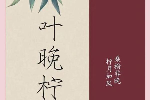 从古典到现代：为女孩挑选最具韵味的名字