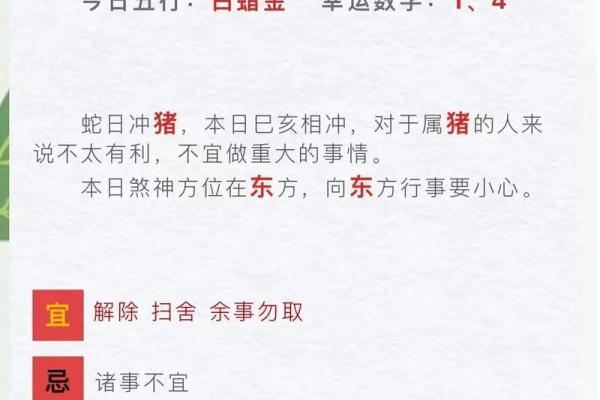 年运势解析：每月运程和幸运提示