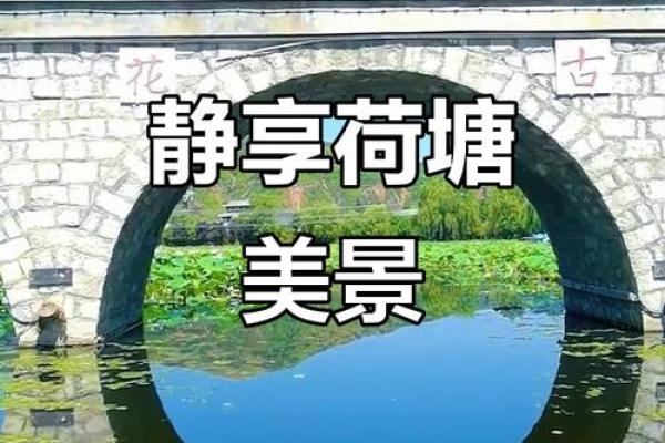池畔风光：感受池水带来的平和与清新