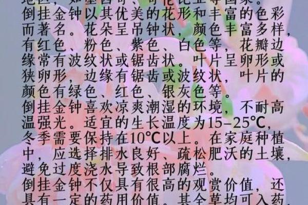 从补土名字看生态恢复的秘密