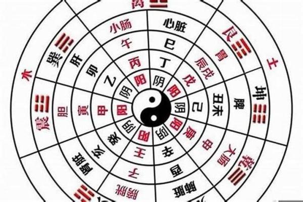 从命理角度看假纯阳命的运势与挑战