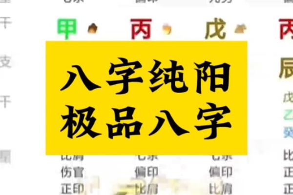 从命理角度看假纯阳命的运势与挑战