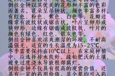 从补土名字看生态恢复的秘密