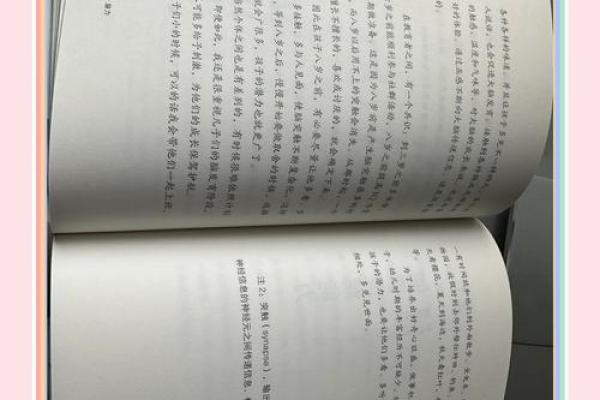 从美玲的名字看人生中的美丽与智慧