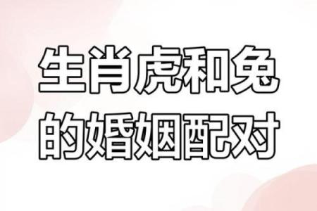 女属虎男属马是否合适的八个关键因素分析