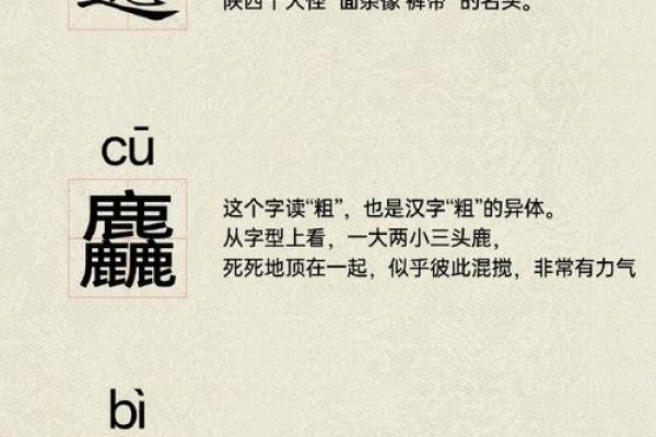 从“离”字看名字的独特魅力与寓意