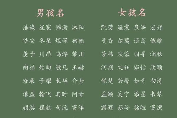 鸡年出生的宝宝如何起名字 让孩子更具好运气 鸡年出生的宝宝如何起名字 让孩子更具好运气