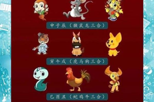 出生的人命运详解 属相对人生的影响