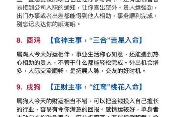 出生属什么命解读与命运分析