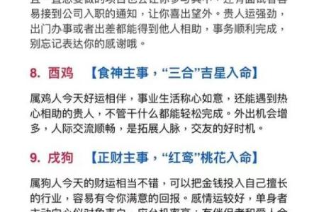 出生属什么命解读与命运分析