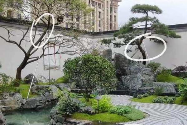 打造庭院水池风水，助力家宅运势