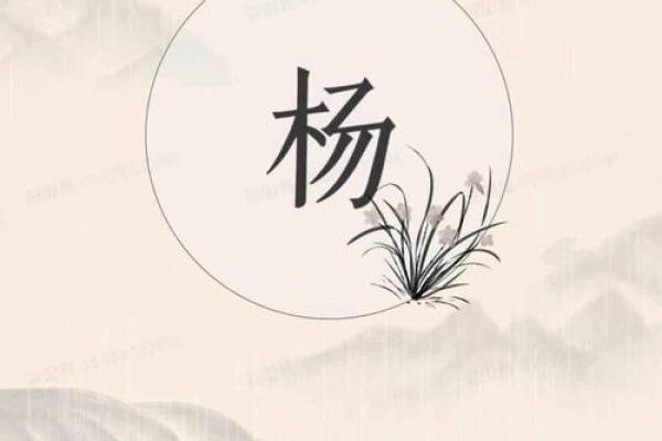 宝宝起名推荐:杨字带来的吉祥寓意 宝宝起名推荐:杨字带来的吉祥寓意